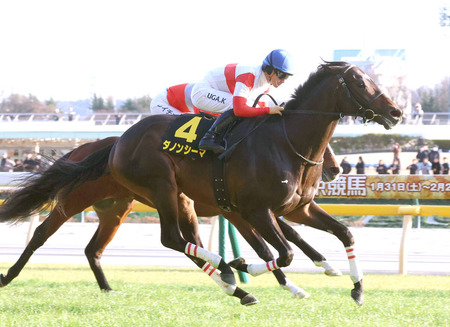 やっちまった速報(最新記事2)