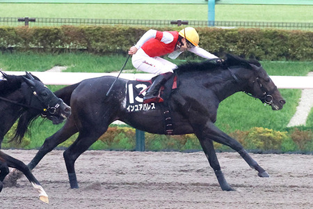 やっちまった速報(最新記事3)