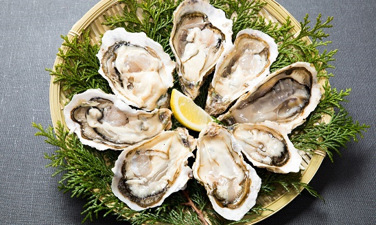 やっちまった速報(最新記事1)