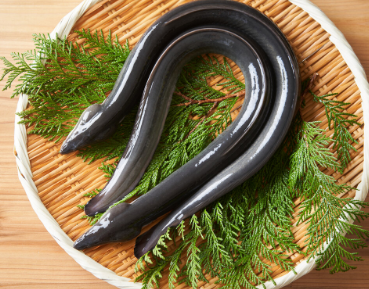 パチンコやスロットに萌とか美少女とかおっぱいぷるんぷるんとか要らねーんだよ
 | やっちまった速報(最新記事3)