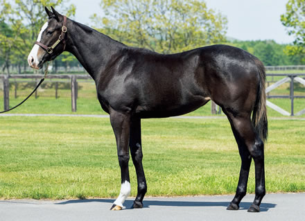 やっちまった速報(最新記事1)