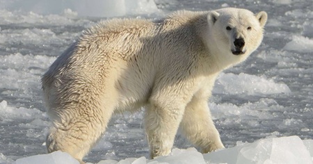 居酒屋でチョイ盛り下がってきたので騎手を呼び出したいなら誰？
 | やっちまった速報(最新記事3)