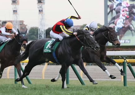 ポケモンカードポケットさん、リリース２日目でやることがなくなる | やっちまった速報(最新記事1)