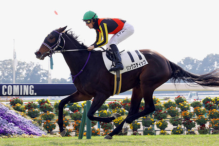 【新台】京楽「e ULTRAMAN 2400★80」スペック詳細＆筐体画像が公開！ | やっちまった速報(最新記事1)