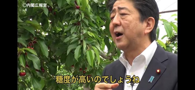【画像】X民「チームみらいが2桁議席？これは絶対おかしい…なにか“裏”がある！」 | 【画像】X民「チームみらいが2桁議席？これは絶対おかしい…なにか“裏”がある！」 | 【画像】X民「チームみらいが2桁議席？これは絶対おかしい…なにか“裏”がある！」 | 【画像】X民「チームみらいが2桁議席？これは絶対おかしい…なにか“裏”がある！」 | 【画像】X民「チームみらいが2桁議席？これは絶対おかしい…なにか“裏”がある！」 | やっちまった速報(画像10225923023249_5)