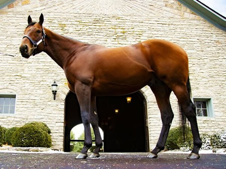 やっちまった速報(最新記事1)