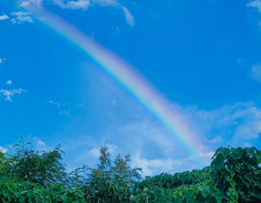 AT駆け抜けて「台壊してぇ」とか言う奴ｗｗｗｗｗｗｗｗｗｗ
 | やっちまった速報(最新記事1)