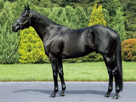 彡(●)(●)「高市のせいでハイパー円安だぞｗｗｗ」彡(●)(●)「年内180ある？」彡(●)(●)「200あり得る」「210くらい余裕」→結果
 | やっちまった速報(最新記事2)