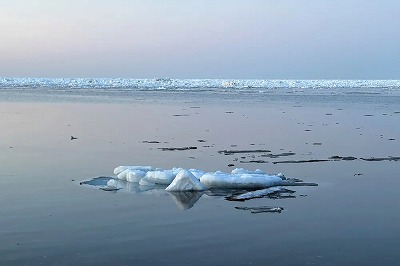 やっちまった速報(最新記事1)