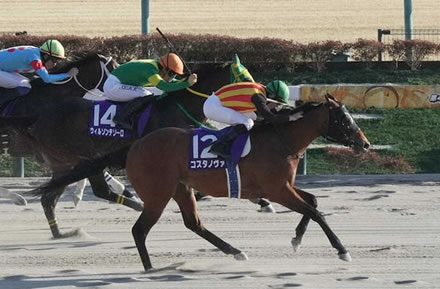 ウマ娘と浦和競馬がコラボで大盛況
 | やっちまった速報(最新記事1)