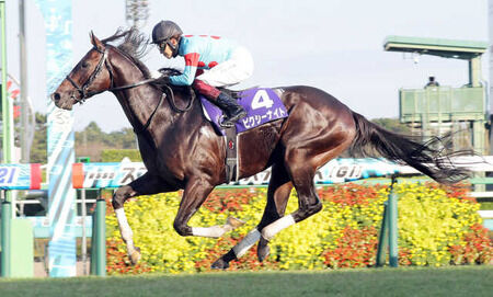 えなこさん「沖海6withえなこに出演させていただきます。続報をお楽しみに～」
 | やっちまった速報(最新記事2)