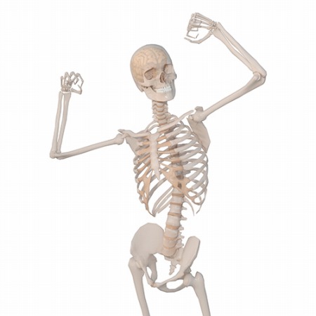 【悲報】伊藤穰一さん、エプスタイン問題の中心人物かのように報じられてしまう
 | やっちまった速報(最新記事1)