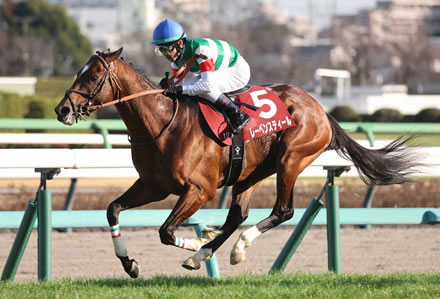 【チューリップ賞】タイセイボーグが接戦を制し重賞初制覇！アランカールは桜花賞権利取り死守
 | やっちまった速報(最新記事2)