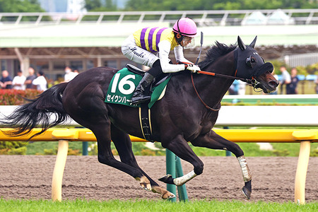 グラドル(22)「前回のWBCでビール飲みながら…」視聴者「当時はまだ19歳では？」グラドル「え…」
 | やっちまった速報(最新記事2)