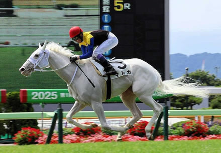 3時からパチスロ行って5万負けてる🥲
 | やっちまった速報(最新記事2)