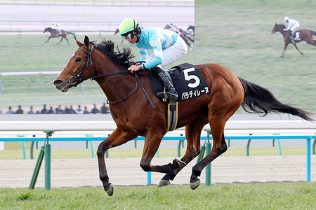 【画像】静岡で「ドスケベバンクシー」が突如現れ社会問題になってしまうｗｗｗ
 | やっちまった速報(最新記事2)