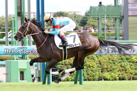 【画像】AV業界、急に「Lカップ」女優が増え始めるｗｗｗｗｗ
 | やっちまった速報(最新記事3)