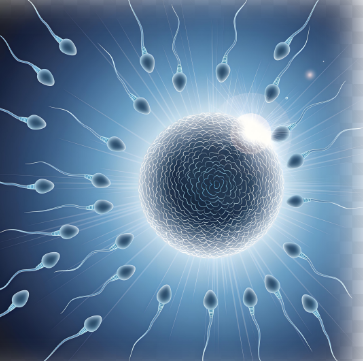 保護者「津波が来そうだから子供を迎えに来ました！」教師「あのさ(笑)今車で迎えに来られると困るんだよね(笑)」→結果
 | やっちまった速報(最新記事2)