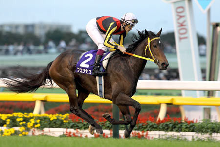 【画像】マクドナルドのWBCクリアファイルｷﾀ━━━━(ﾟ∀ﾟ)━━━━ !!!!!
 | やっちまった速報(最新記事1)