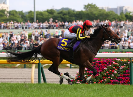 パチンコってつまらなくね
 | やっちまった速報(最新記事3)