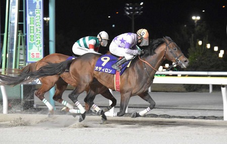 中国さん、ガチでとんでもない法律を作ってしまうｗｗｗｗ
 | やっちまった速報(最新記事2)