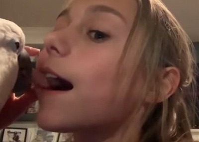  【究極の選択】ワイが苦しみながら死ぬかわりに100億円貰えるボタン ←押す？ | やっちまった速報(最新記事17)