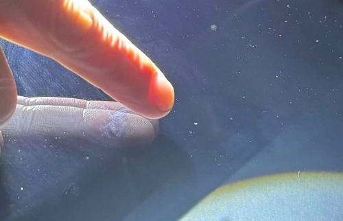 愛知県小牧市のパチンコホール「フィット小牧店」が10月31日で閉店 | やっちまった速報(最新記事17)