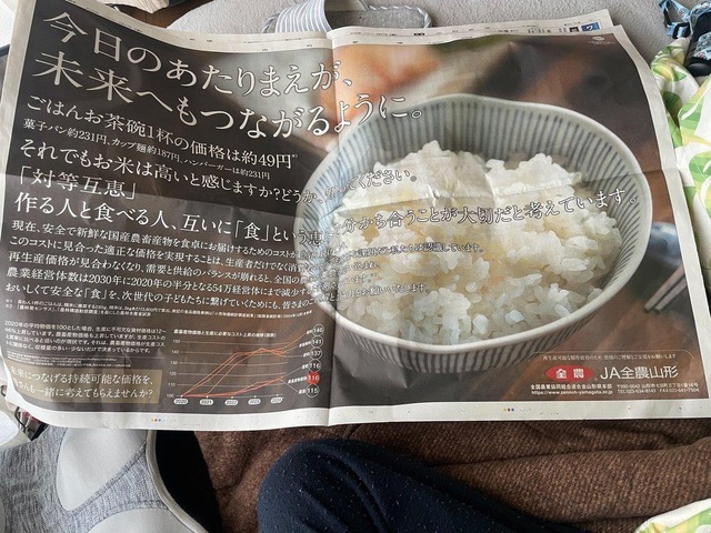 【速報】コメ、遂に5kg2000円台に突入 卸売業者「7年産のコメを秋までに売り切らなきゃならん！」 | 【速報】コメ、遂に5kg2000円台に突入 卸売業者「7年産のコメを秋までに売り切らなきゃならん！」 | 【速報】コメ、遂に5kg2000円台に突入 卸売業者「7年産のコメを秋までに売り切らなきゃならん！」 | 【速報】コメ、遂に5kg2000円台に突入 卸売業者「7年産のコメを秋までに売り切らなきゃならん！」 | やっちまった速報(画像18192941638167_4)