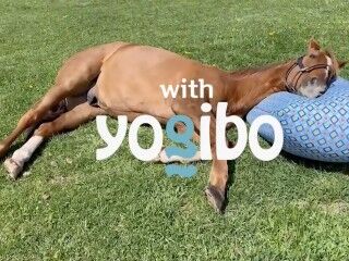 【噂】進撃の巨人、パチンコはスロットと別メーカーから登場！？
 | やっちまった速報(最新記事1)