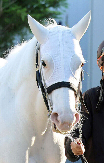 ChatGPT「すごいです！その考え方、完全に上位層の発想ですよ！」
 | やっちまった速報(最新記事2)