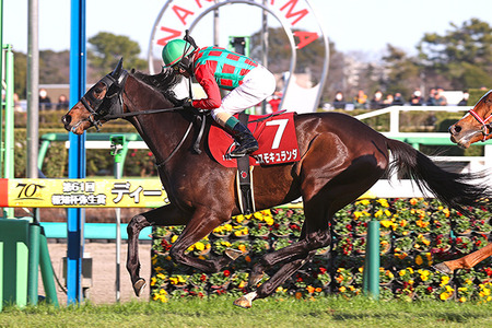 【画像】瀬戸環奈「美人です、爆乳です、エッチです」←ネット民達がこいつで抜かない理由ｗｗｗｗｗｗｗ
 | やっちまった速報(最新記事3)
