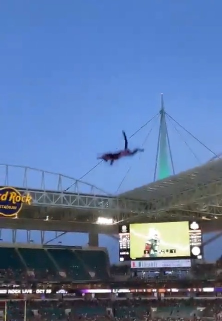 【動画】ネコさん、会場を盛り上げてしまうｗｗｗｗｗｗｗｗ | 【動画】ネコさん、会場を盛り上げてしまうｗｗｗｗｗｗｗｗ | 【動画】ネコさん、会場を盛り上げてしまうｗｗｗｗｗｗｗｗ | やっちまった速報(画像31064425466795_3)