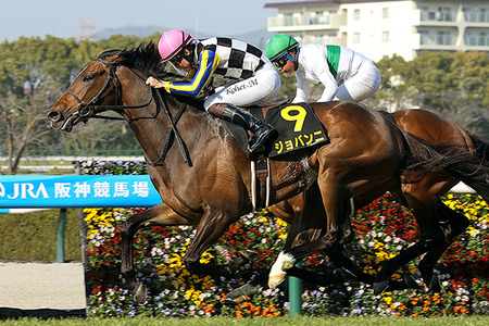 やっちまった速報(最新記事13)