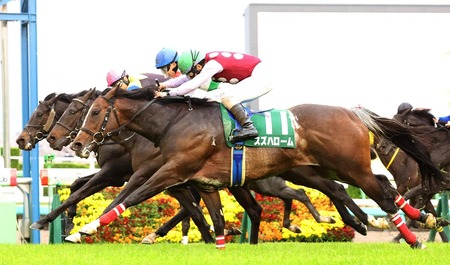 ワイ、パチンコの引退を決意する！
 | やっちまった速報(最新記事1)