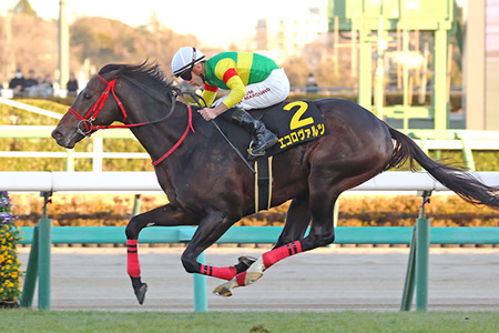 フォーエバーヤング、BCクラシック後の次走は有馬記念か | やっちまった速報(最新記事2)