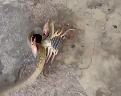 【競馬予想】[2]第86回桜花賞(GⅠ) /2025
 | やっちまった速報(最新記事1)