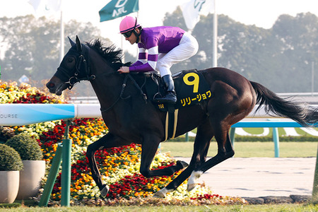 やっちまった速報(最新記事2)