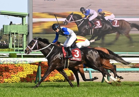 高市政権、マジで憲政史上最長の政権になりそうｗｗｗｗｗｗｗｗｗｗ
 | やっちまった速報(最新記事2)