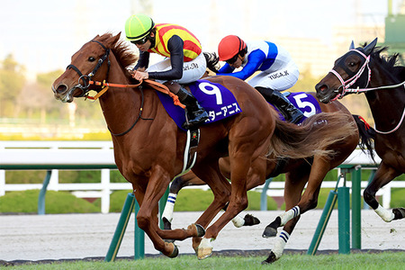 重賞勝ち　ダノンプレミアム1勝　コントレイル0勝
 | やっちまった速報(最新記事2)