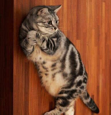 ネット民がなぜか全員見たことある画像ｗｗｗｗｗ | ネット民がなぜか全員見たことある画像ｗｗｗｗｗ | ネット民がなぜか全員見たことある画像ｗｗｗｗｗ | ネット民がなぜか全員見たことある画像ｗｗｗｗｗ | ネット民がなぜか全員見たことある画像ｗｗｗｗｗ | ネット民がなぜか全員見たことある画像ｗｗｗｗｗ | ネット民がなぜか全員見たことある画像ｗｗｗｗｗ | ネット民がなぜか全員見たことある画像ｗｗｗｗｗ | ネット民がなぜか全員見たことある画像ｗｗｗｗｗ | ネット民がなぜか全員見たことある画像ｗｗｗｗｗ | ネット民がなぜか全員見たことある画像ｗｗｗｗｗ | ネット民がなぜか全員見たことある画像ｗｗｗｗｗ | ネット民がなぜか全員見たことある画像ｗｗｗｗｗ | ネット民がなぜか全員見たことある画像ｗｗｗｗｗ | ネット民がなぜか全員見たことある画像ｗｗｗｗｗ | ネット民がなぜか全員見たことある画像ｗｗｗｗｗ | ネット民がなぜか全員見たことある画像ｗｗｗｗｗ | ネット民がなぜか全員見たことある画像ｗｗｗｗｗ | やっちまった速報(画像13074531567463_18)