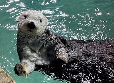 やっちまった速報(最新記事8)