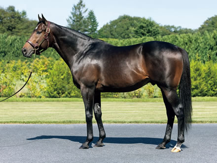 ギャンブル辞めたワイ、期末賞与の数十万に咽び泣く
 | やっちまった速報(最新記事1)