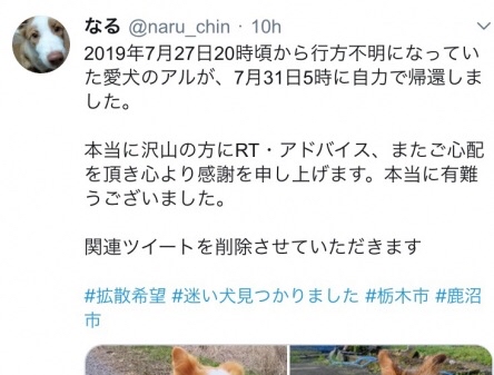 【画像】捨て犬の軍団、山で野生化してしまうｗｗｗｗｗｗｗ | 【画像】捨て犬の軍団、山で野生化してしまうｗｗｗｗｗｗｗ | 【画像】捨て犬の軍団、山で野生化してしまうｗｗｗｗｗｗｗ | 【画像】捨て犬の軍団、山で野生化してしまうｗｗｗｗｗｗｗ | 【画像】捨て犬の軍団、山で野生化してしまうｗｗｗｗｗｗｗ | 【画像】捨て犬の軍団、山で野生化してしまうｗｗｗｗｗｗｗ | 【画像】捨て犬の軍団、山で野生化してしまうｗｗｗｗｗｗｗ | 【画像】捨て犬の軍団、山で野生化してしまうｗｗｗｗｗｗｗ | 【画像】捨て犬の軍団、山で野生化してしまうｗｗｗｗｗｗｗ | やっちまった速報(画像24072513412467_9)