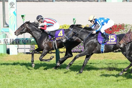 【悲報】保護者「修学旅行に6万6000円は高すぎだろ！」学校「じゃあ中止で」
 | やっちまった速報(最新記事14)
