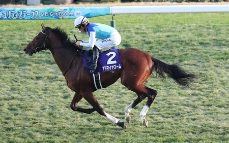 【画像】イタチとかいう動物を見たことあるやつ、存在しないww
 | やっちまった速報(最新記事1)