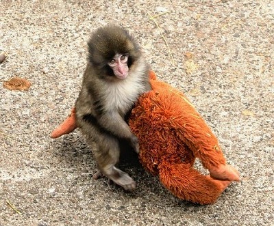 ベルコが4月27日にパチスロ新機種ティザーPVを公開へ！
 | やっちまった速報(最新記事1)