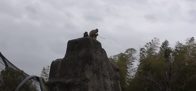 【悲報】パンチくん神話、すべてが茶番で終わるｗｗｗ | 【悲報】パンチくん神話、すべてが茶番で終わるｗｗｗ | やっちまった速報(画像26182544125584_2)