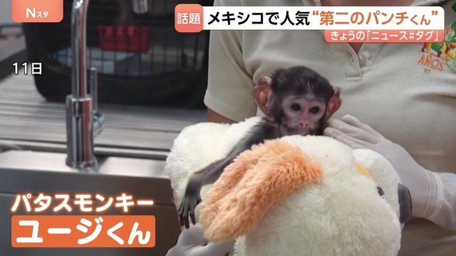 【悲報】パンチくん神話、すべてが茶番で終わるｗｗｗ | 【悲報】パンチくん神話、すべてが茶番で終わるｗｗｗ | 【悲報】パンチくん神話、すべてが茶番で終わるｗｗｗ | 【悲報】パンチくん神話、すべてが茶番で終わるｗｗｗ | 【悲報】パンチくん神話、すべてが茶番で終わるｗｗｗ | 【悲報】パンチくん神話、すべてが茶番で終わるｗｗｗ | 【悲報】パンチくん神話、すべてが茶番で終わるｗｗｗ | 【悲報】パンチくん神話、すべてが茶番で終わるｗｗｗ | 【悲報】パンチくん神話、すべてが茶番で終わるｗｗｗ | やっちまった速報(画像26182547201999_9)