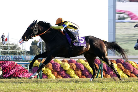 【枠順確定】香港チャンピオンズデー2026
 | やっちまった速報(最新記事2)