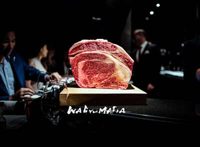 バカみたいなローテだな、と思った馬といえば？
 | やっちまった速報(最新記事3)